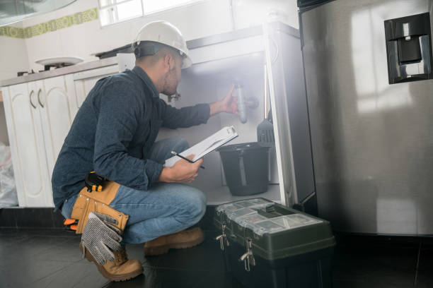 Best Commercial Plumbing Services  in North Branch, MI