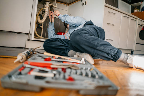 Best Sprinkler Systems  in North Branch, MI