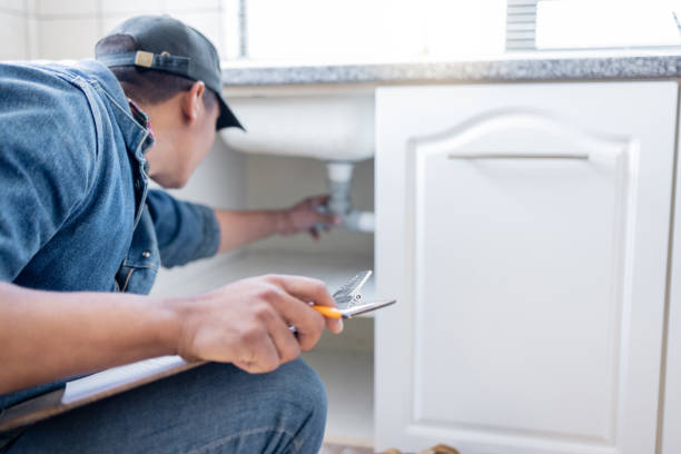 Best Drain Cleaning Services  in North Branch, MI