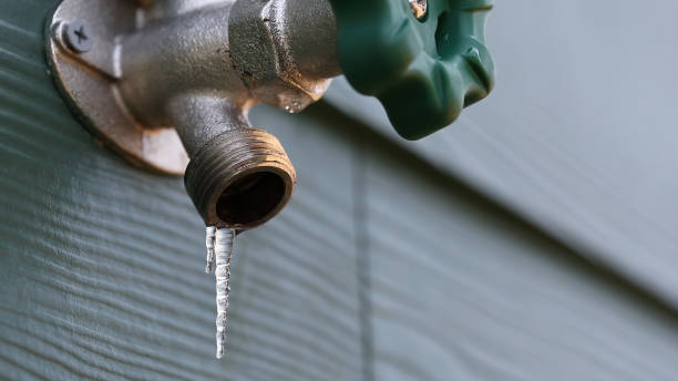 Best Affordable Plumber Near Me  in North Branch, MI