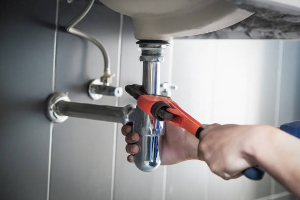Best Plumbing Services Near Me  in North Branch, MI