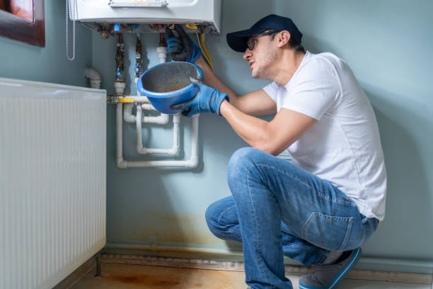 Best Residential Plumbing Services  in North Branch, MI