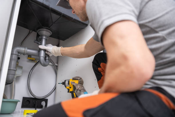 Best Emergency Plumbing Repair  in North Branch, MI