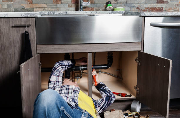 Best Plumbing Services Near Me  in North Branch, MI